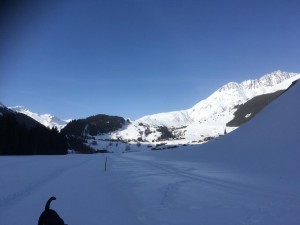 Skilager 2019 Donnerstag-0079